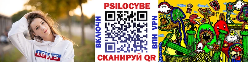 Псилоцибиновые грибы Psilocybine cubensis  нарко площадка наркотические препараты  Яхрома 